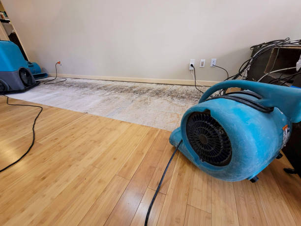 Professional Structural Drying technician working in Carnegie, OK
